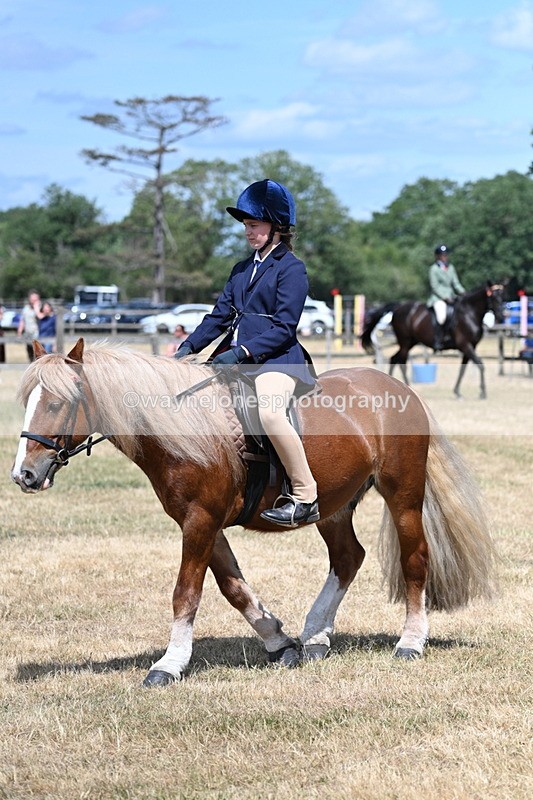 WJ7_3263 - Class 8 Ridden Veterans