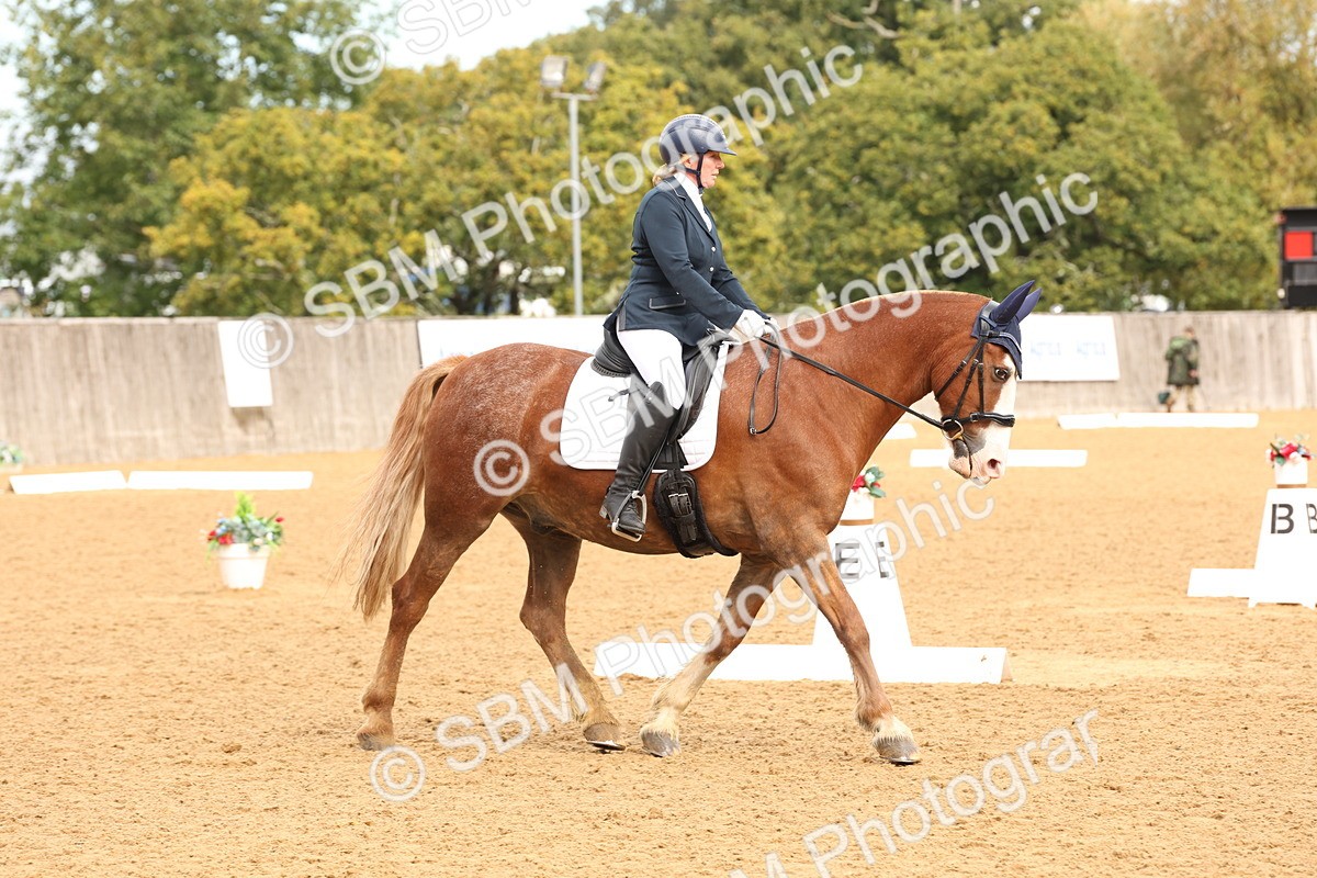 SBM_40623 - D6 - Small Tour Championship Intro 4