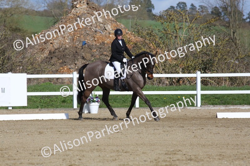 20260314-4078 - CT4 - Novice 1