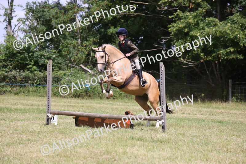 20260614-1778 - Class 21 - Novice Working Hunter Pony