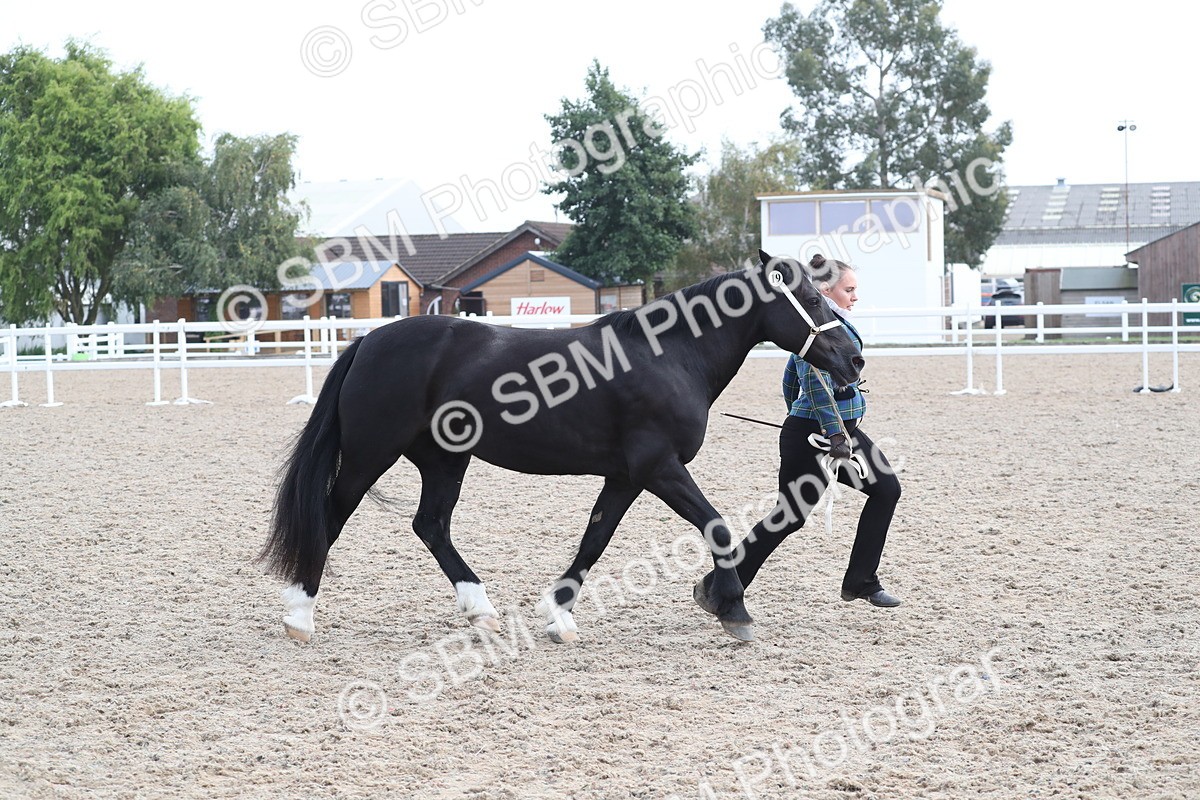 SBM_23324 - Class 606 - 2025 Area - IH Pre Vet