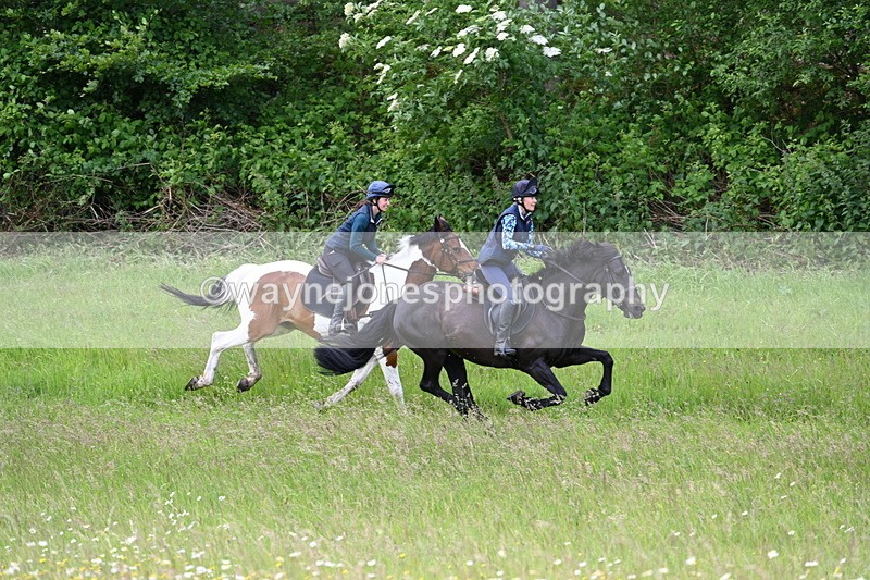 WJ7_8529 - Group 1 10am