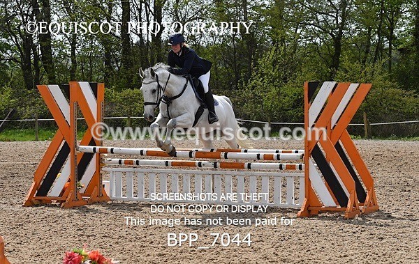 BPP_7044 - CLASS 5 FRI Veterans Show Jumping
