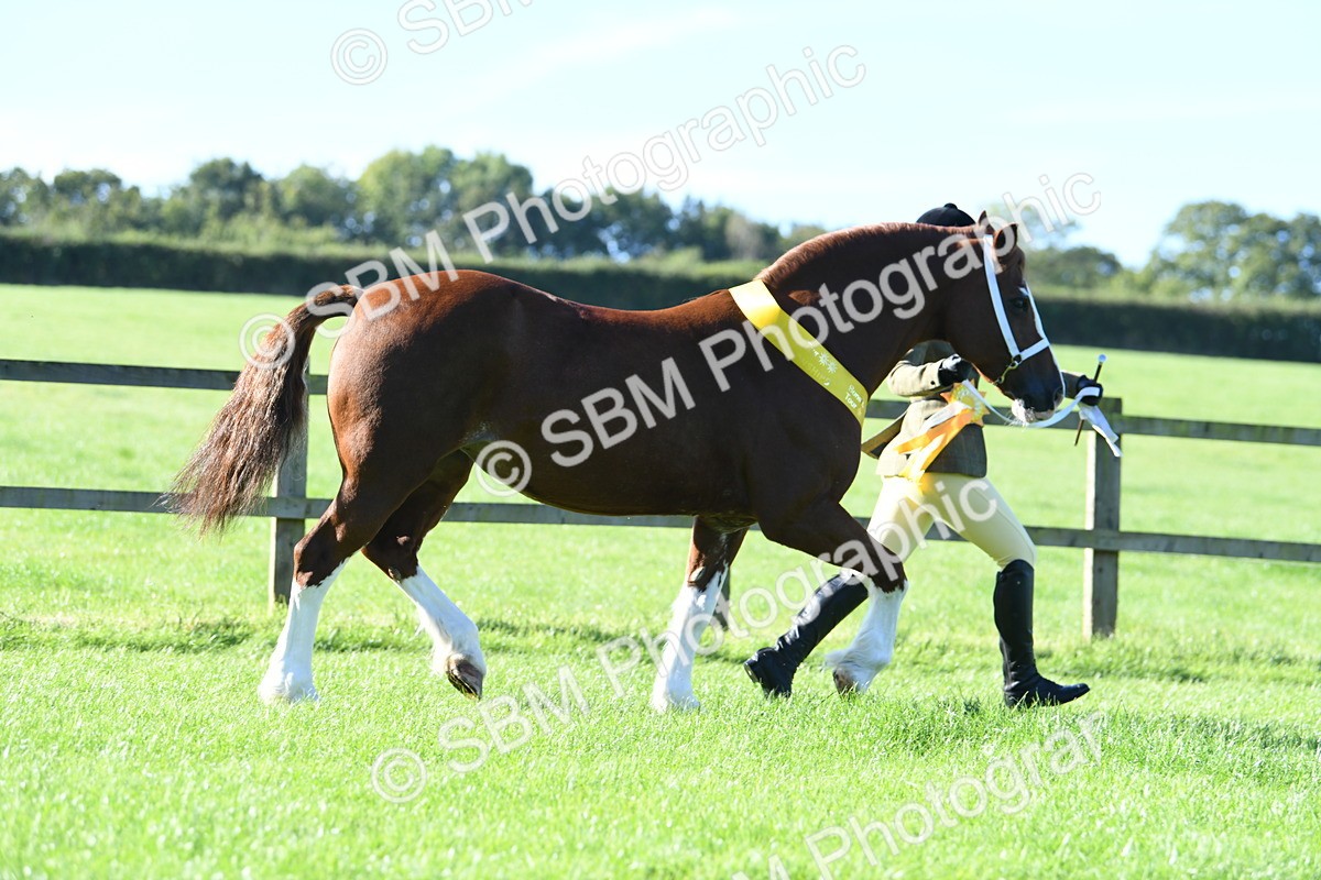 SBM_35558 - Top Turnout Supreme Championship