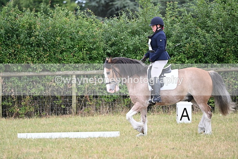 WJ6_3028 - Time 11:07 to 11:34