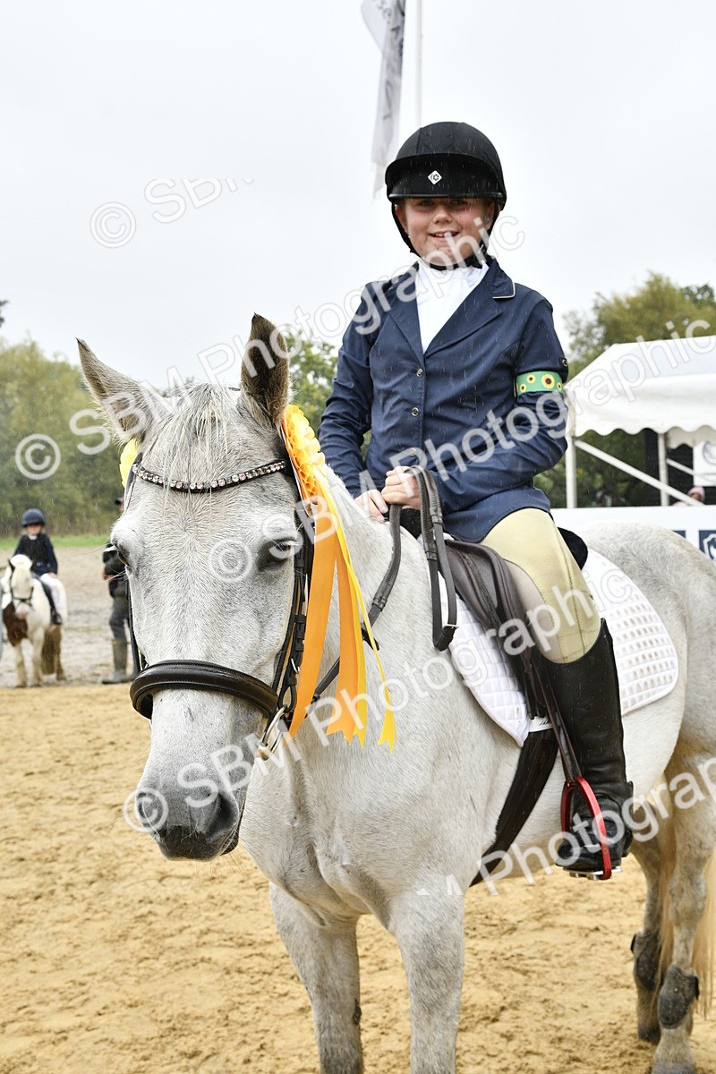 SBM_71050 - J3 - Mini Tour Junior Pony 40cm championship