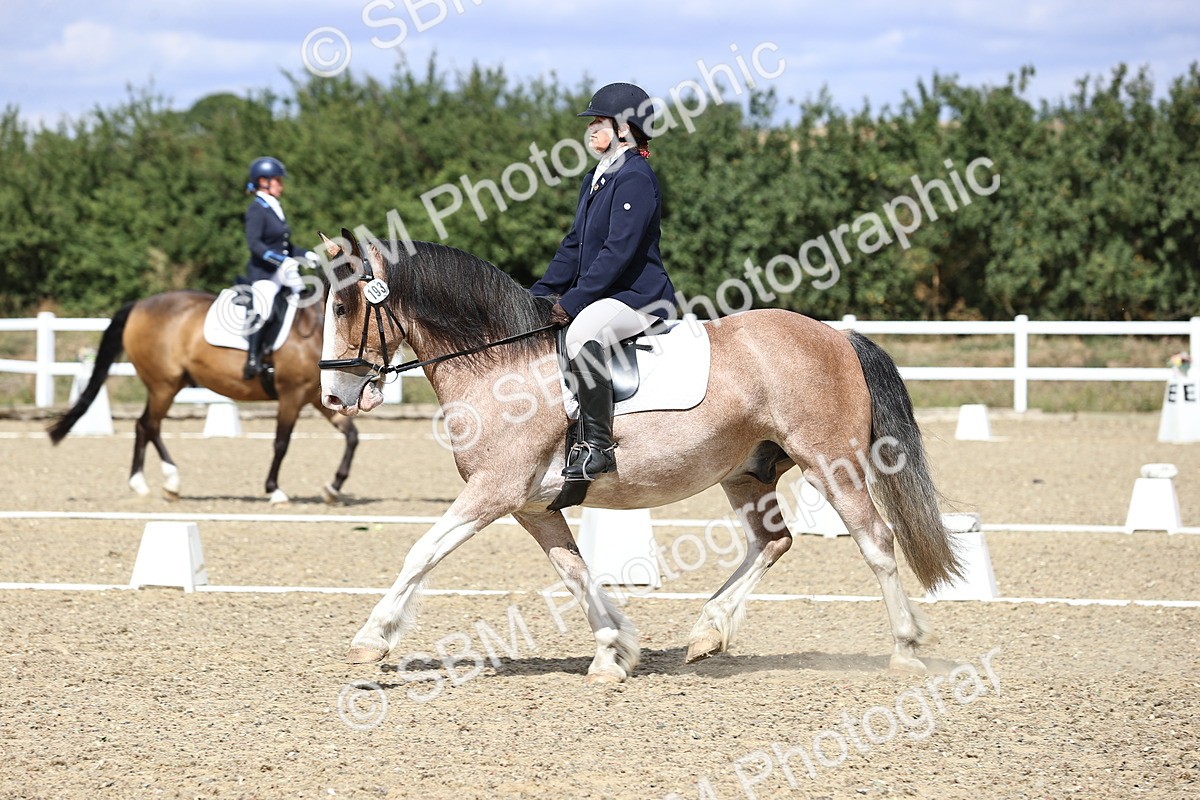 SBM_014558 - Class 5 - E5 Bronze 13.30.14.18