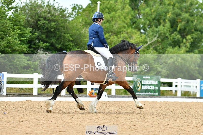 230702A-140800-10585 - Cls 32 Medium 73