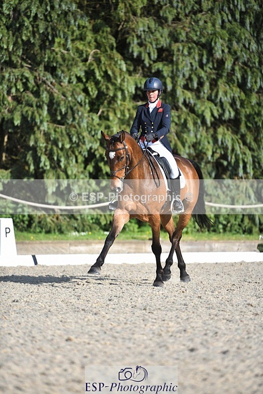 230525-175620-03637 - 132-OGUE_VERDI-Kitty_King-WEDTrotUp+DR