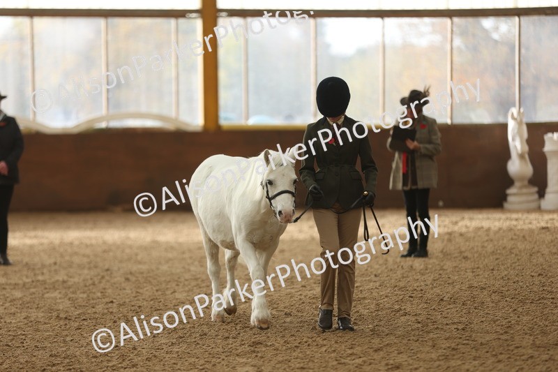 20251109-0558 - Class 21 - Mares 4 Years and over