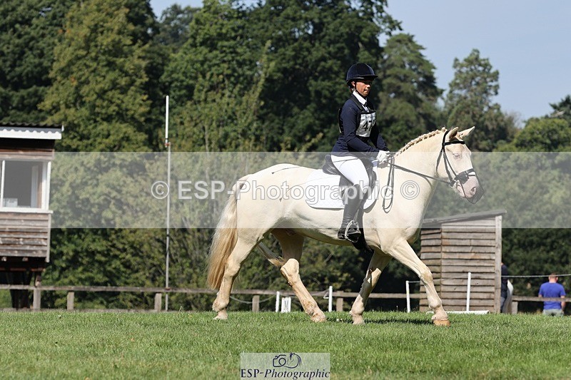 250823A-110443-27860 - Arena D