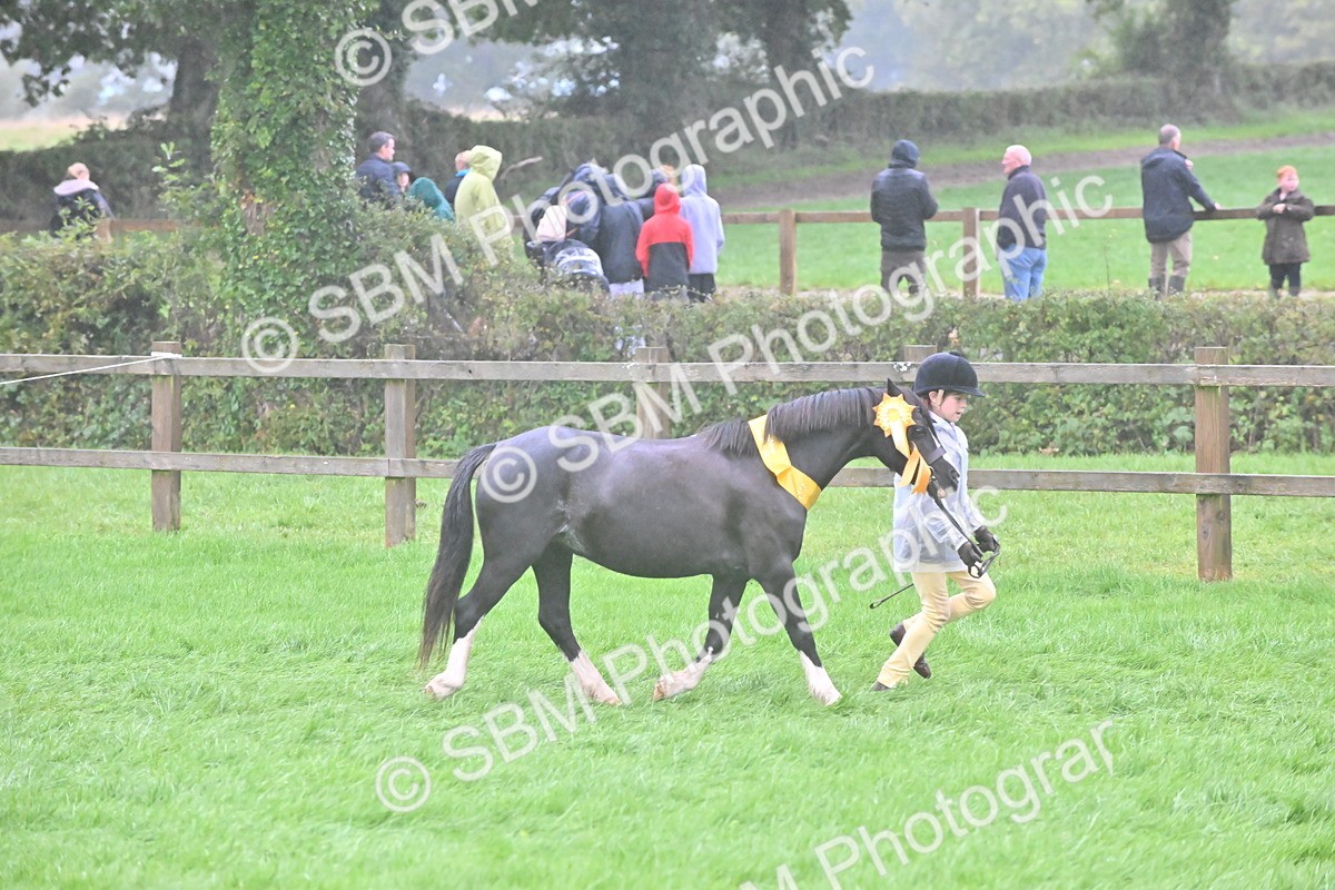 SBM_72149 - Equitation Supreme Championship
