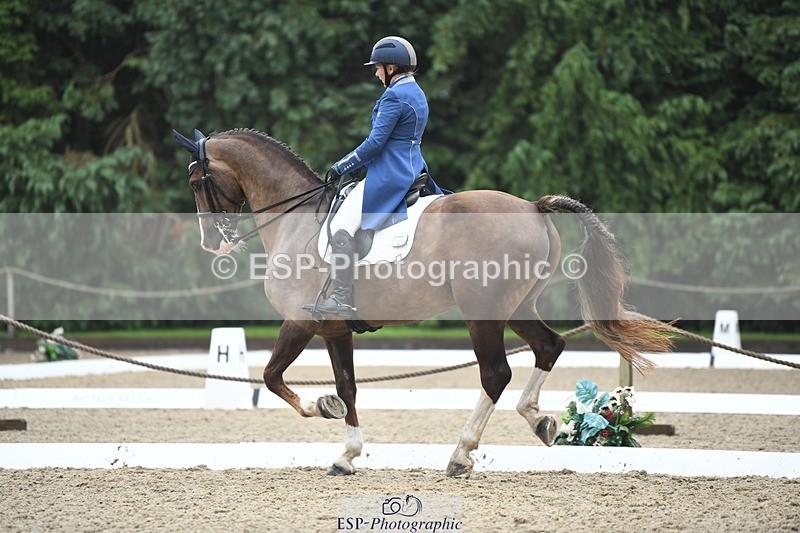 240720-143521-05695 - 142-Amberley_Pugsley-Hero_A