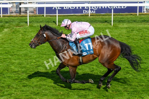 160623-Race 6-Another Investment-0707 - Race 6 4.45pm Irish Thoroughbred Marketing Handicap