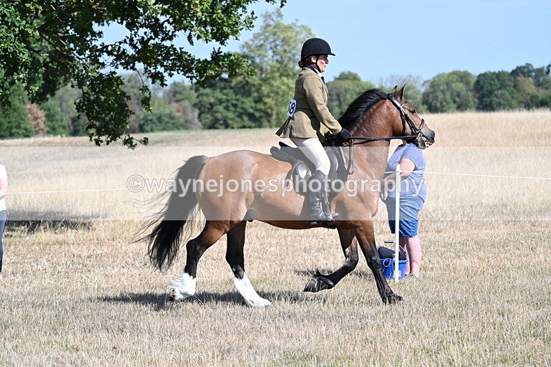 WJ7_3744 - Class 9 Mountain & Moorland Ridden