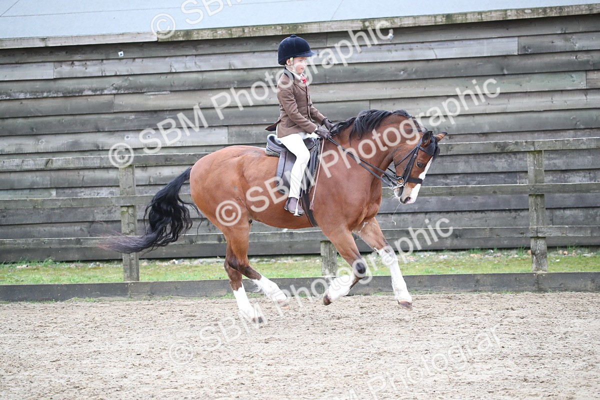 SBM_005922 - Class 10-13 - RIHS Small Large Breeds