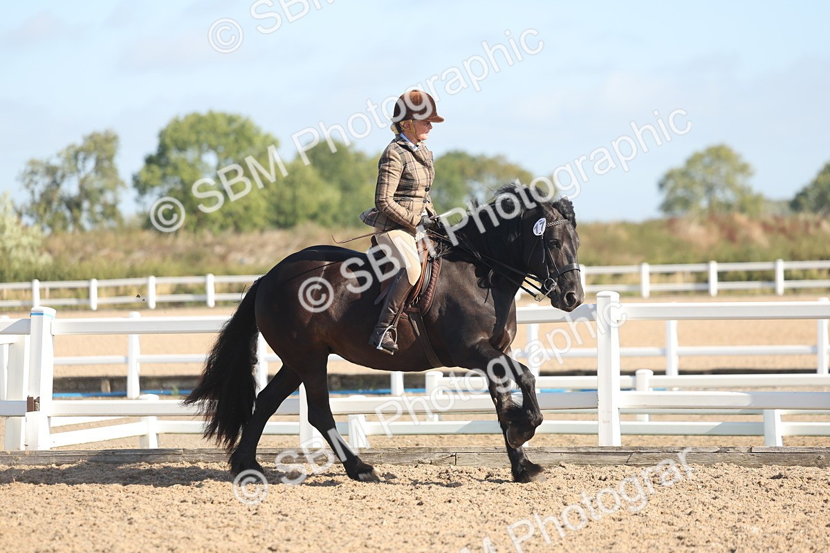 SBM_22297 - Class 803 - Ridden Combination 65+
