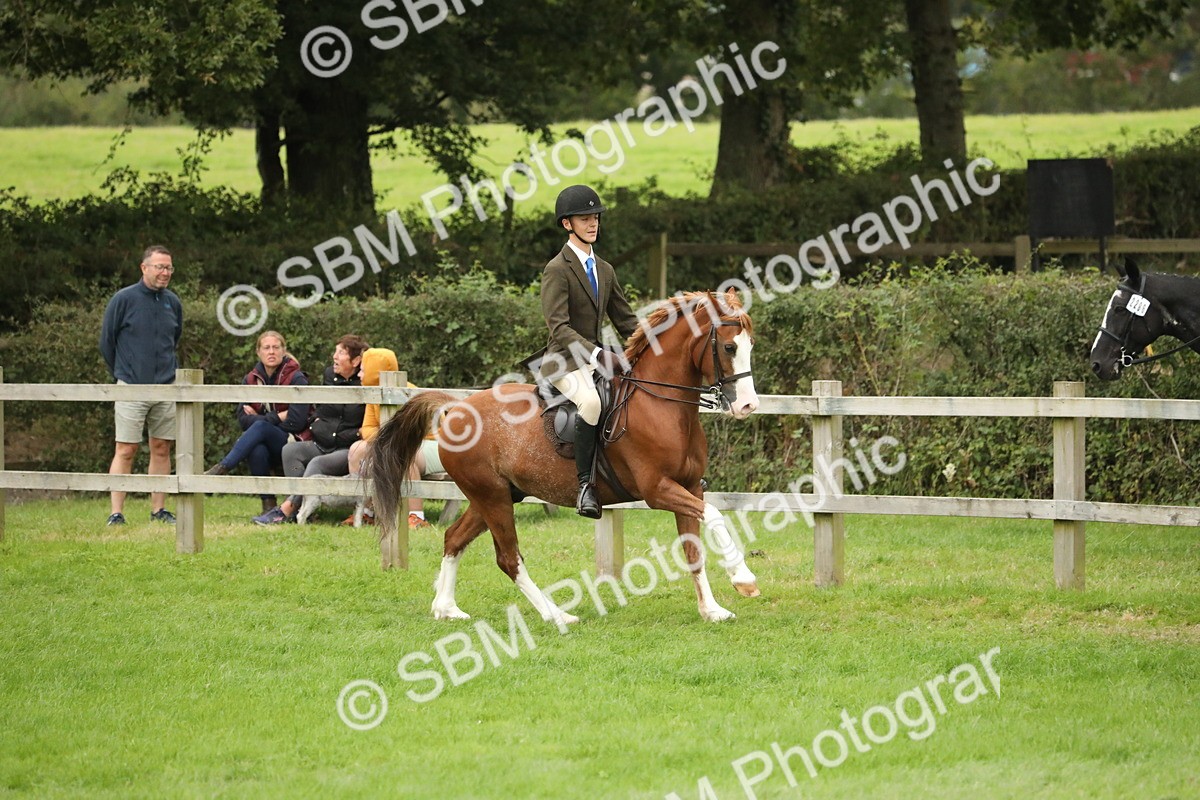 SBM_73795 - S41 - Ridden Equitation (Best Rider)