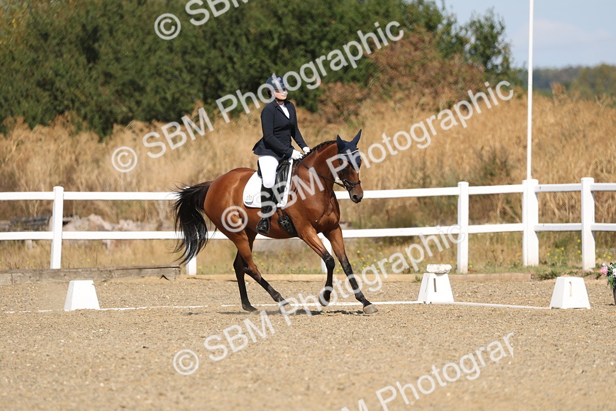 SBM_013503 - Class 1 - P5 Bronze 10.38.12.02