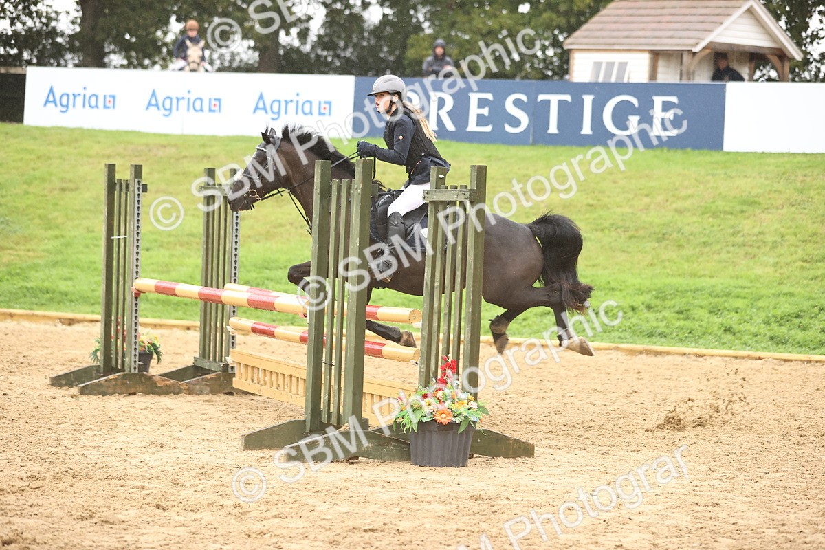 SBM_73571 - J19 - Junior Horse & Pony 90cm Supreme championship