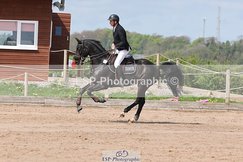 250427-113310-15983 - Cls 36 Young Horse 7yr old