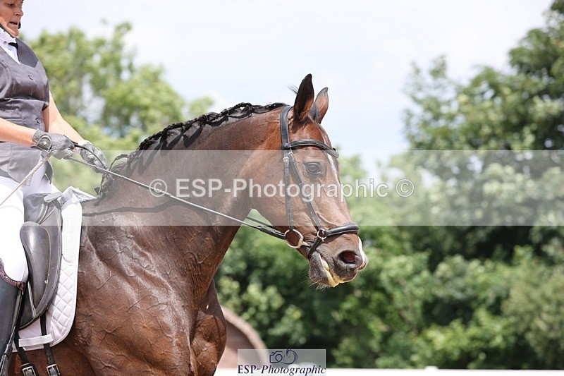 250620-122143-00905 - BD Cls 15 - Freestyle Adv Medium