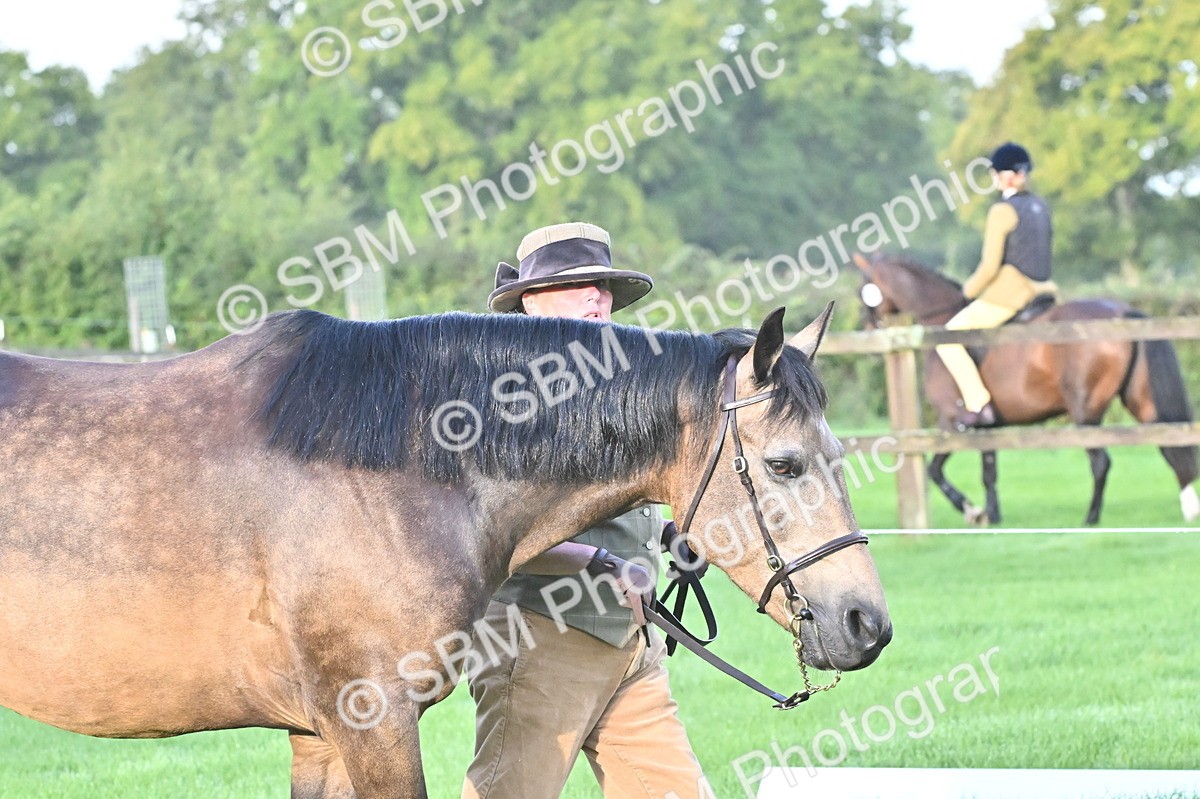 SBM_32564 - S15 - Top Turnout In Hand