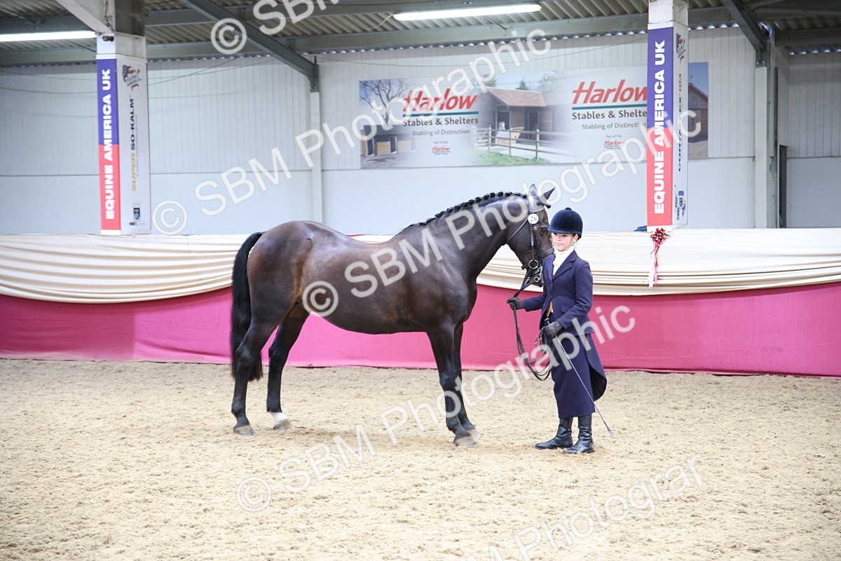 SBM_23384 - Class 904 - Supreme Final Ridden Diamond