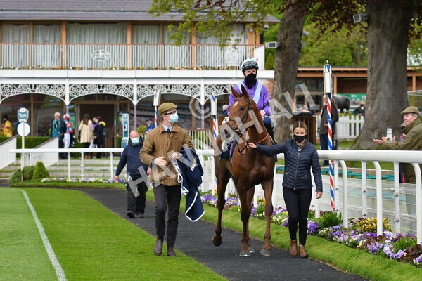 yr22052021r2-32 - Race 2 2.40pm William Hill Brontë Cup