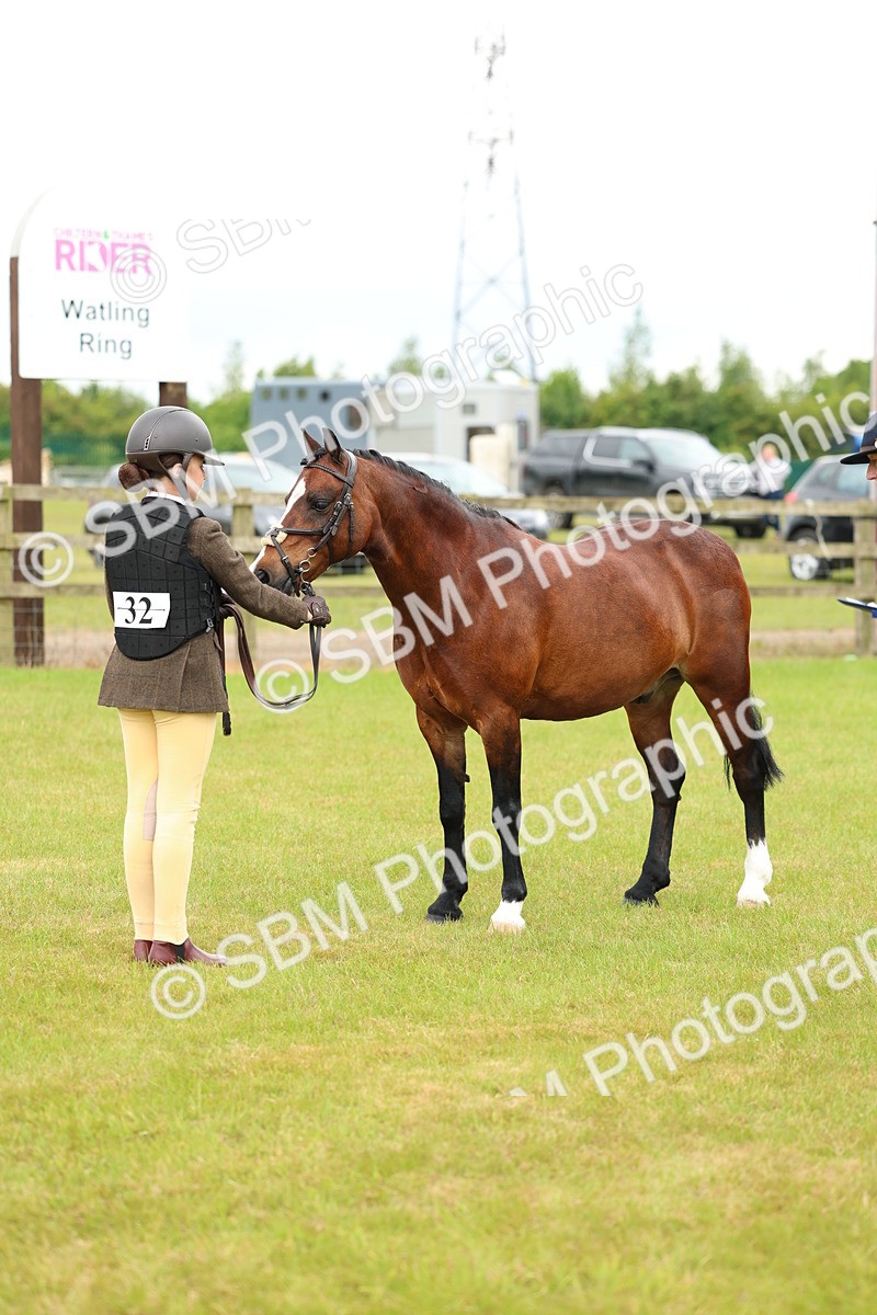 SBM_10331 - Class 44-45 - LIHS BSPS Open Nursery and Cradle Stakes