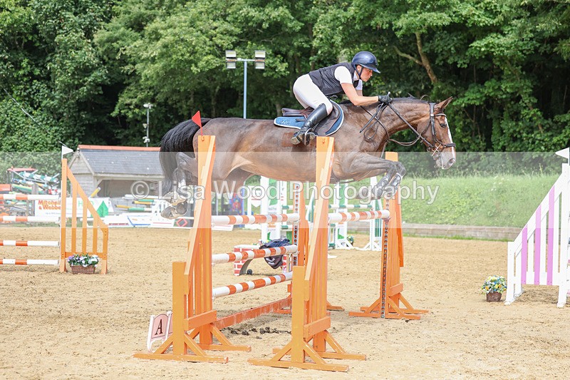 3E7A7596 - Class 9: Senior Foxhunter/1.20 open