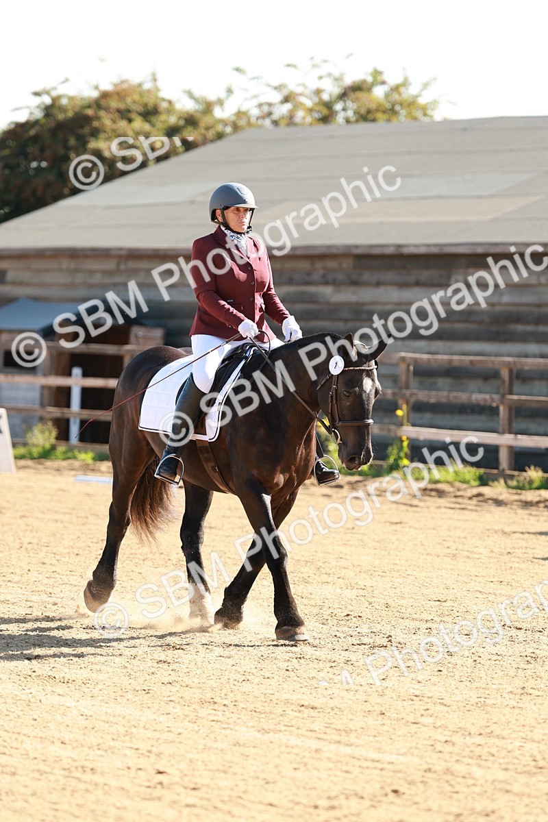 SBM_009271 - Class 2 - Intro 3