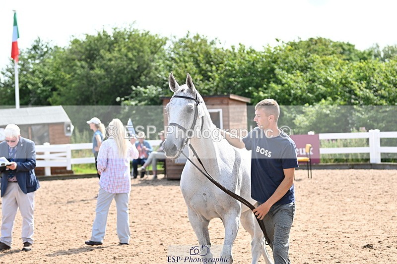 240717A-155129-03110 - Trot Up 3pm to 4pm