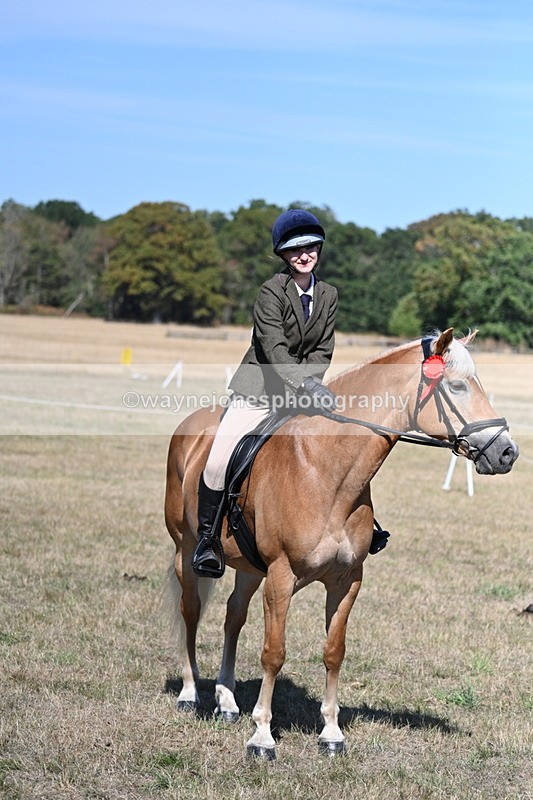 WJ7_1325 - Class 41 Prettiest Mare
