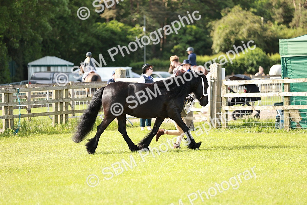SBM_00885