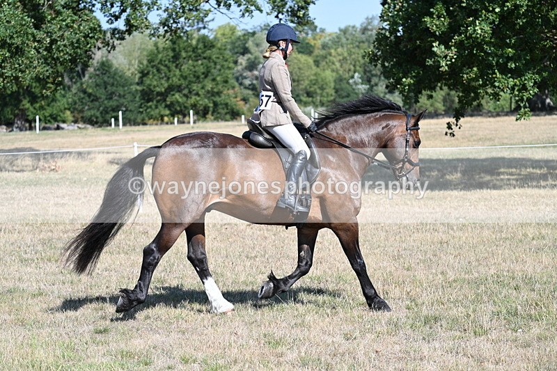 WJ7_3951 - Class 9 Mountain & Moorland Ridden