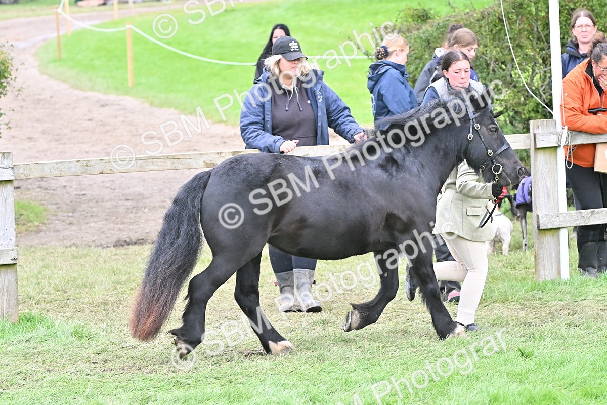 SBM_66788 - S41 - Junior Handler 8 Years & Under
