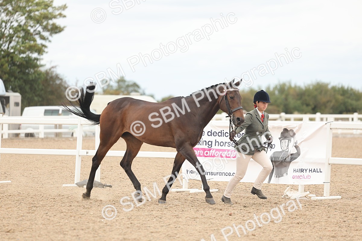 SBM_17069 - Class 313 - IH Retired Racehorse