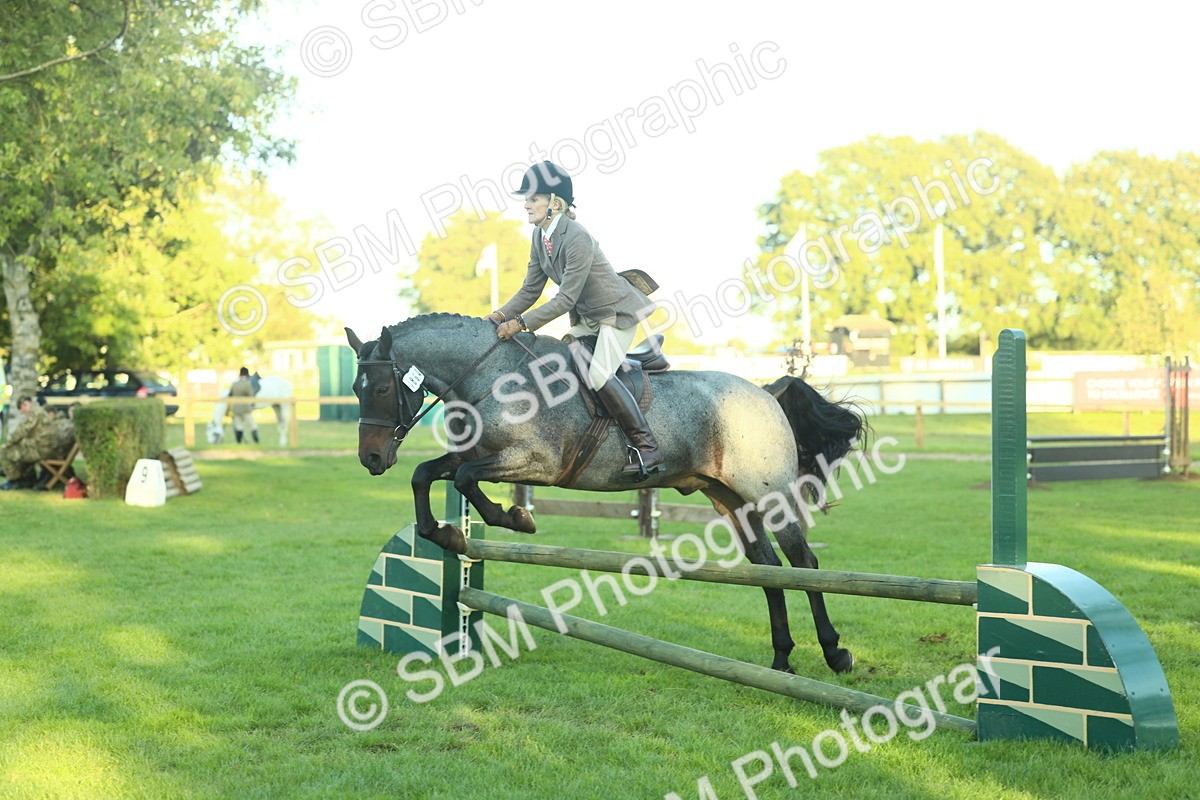 SBM_55632 - S14 - Riding Club Horse