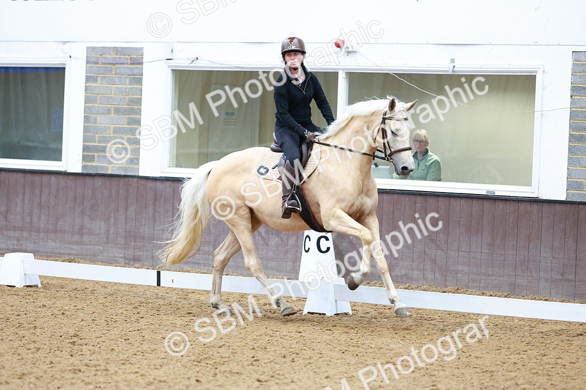1I0A0644 - Class 3-6 - Prelim 1-Novice 2