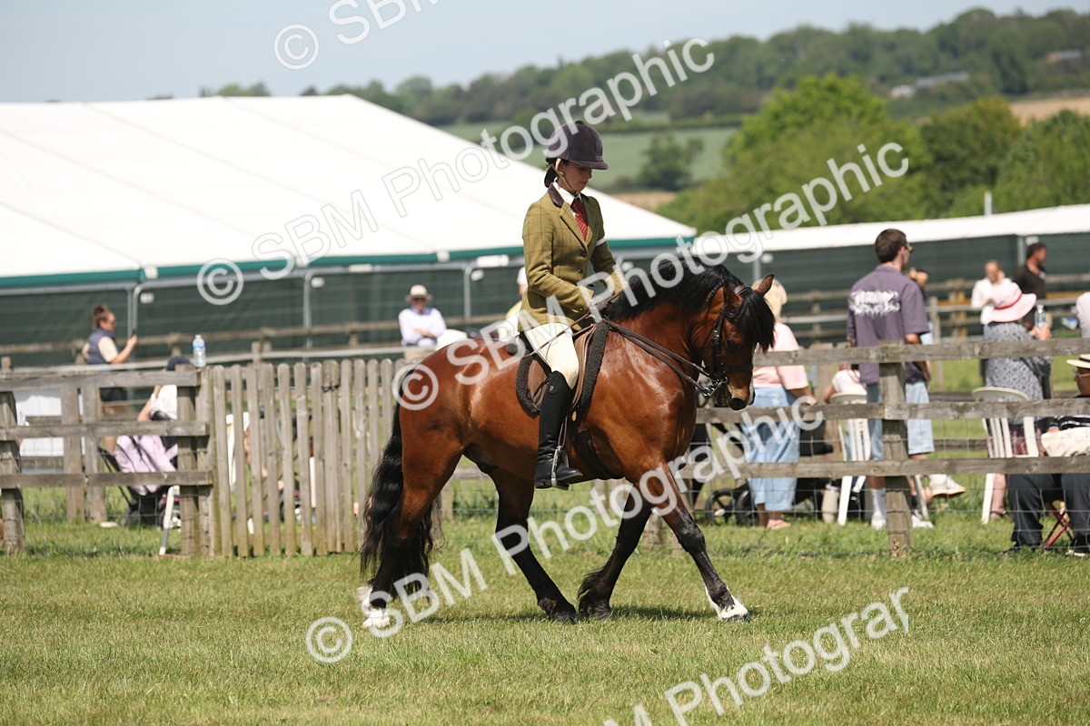 SBM_06890 - Class 26-30 - Mountain and Moorland Ridden