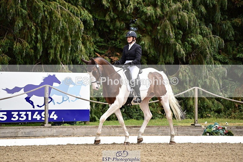 140110A-030612-11161 - 070-Deborah.Randall-Kindred.Spirit