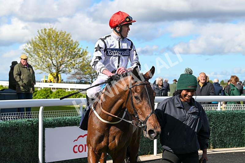 250424-Race 4-Classy Boy-1368 - Race 4