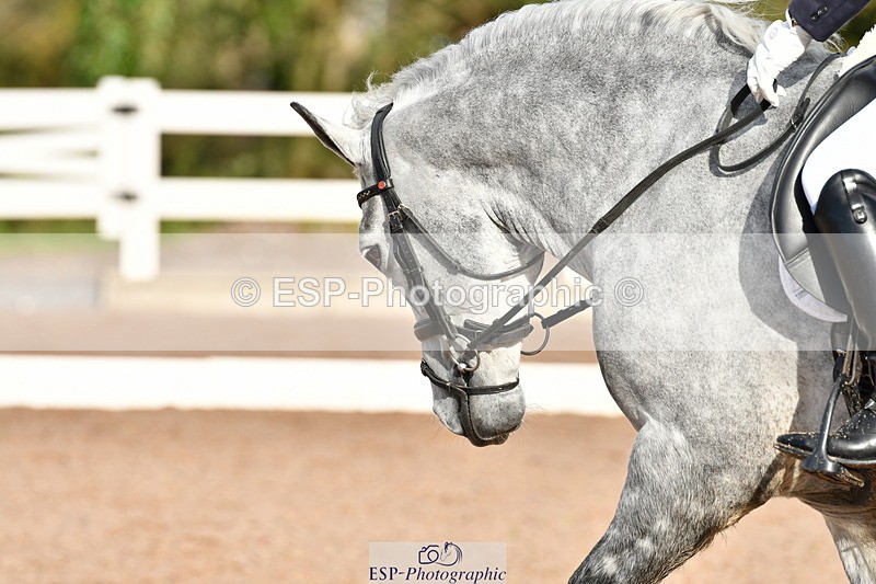 231104A-120047-00336 - Cls 7 Elementary 43