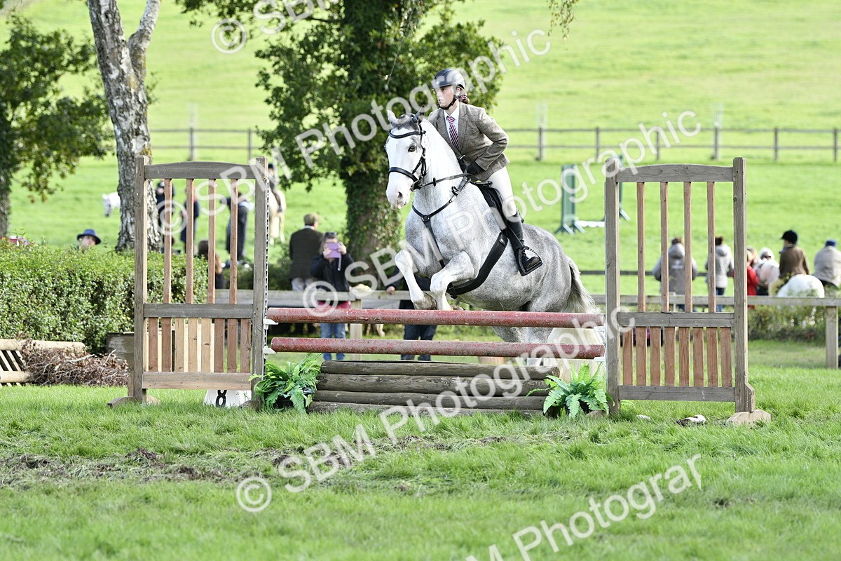 SBM_52197 - S35 - Working Hunter & Working Show Horse