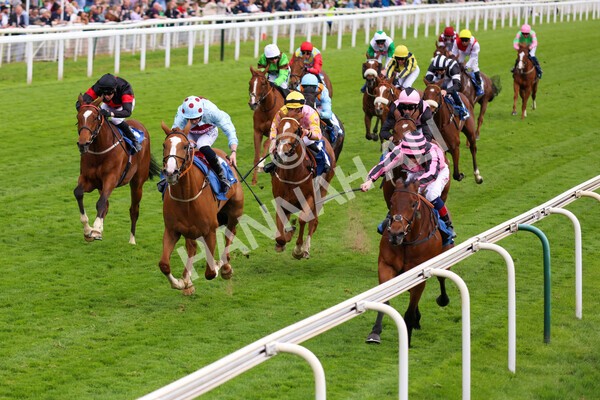 yr22052022r6-27 - Race 6: 6:05pm Sky Bet Sunday Series Stayers Stakes