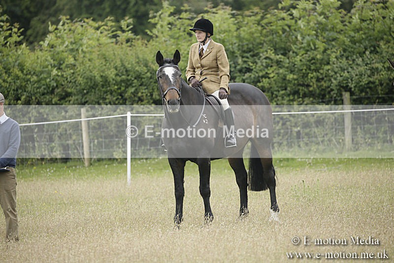 B230619-0337 - Bourne Valley Riding Club Summer Show 23/06/19