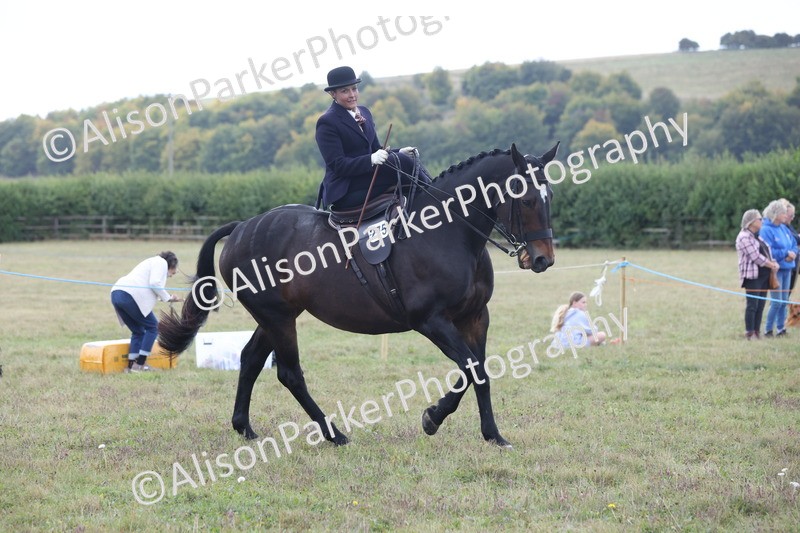 20250831-1195 - Class 15 - Ridden Veteran