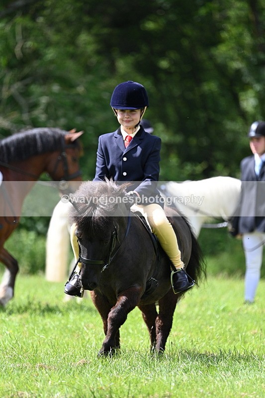 WJ7_1381 - Class 11 Condition & Turnout
