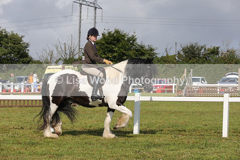 1X9A3460 - Skewbald and Piebald Ridden Championship